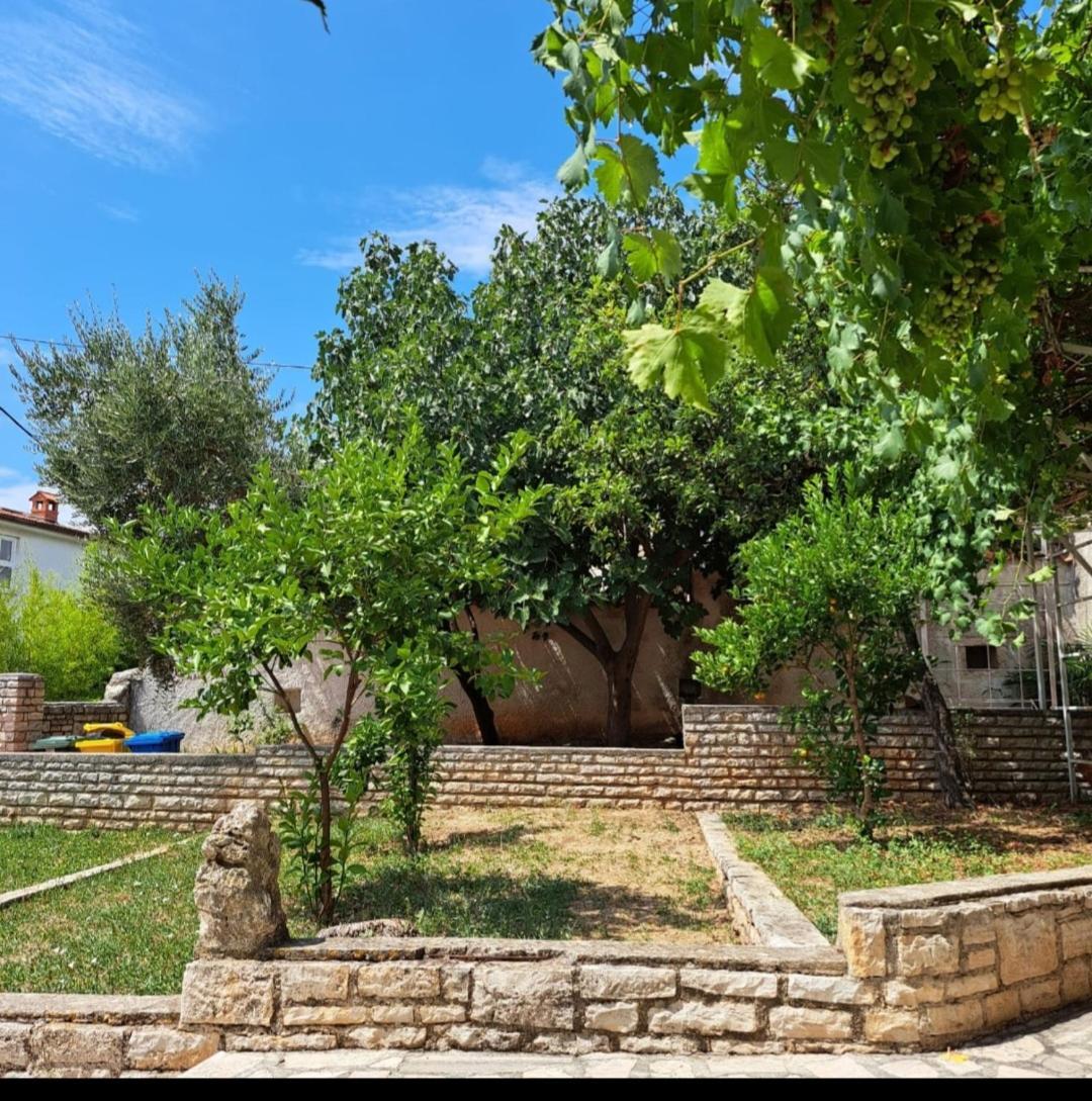 Villa Giulia ลิทซ์ยัน ภายนอก รูปภาพ